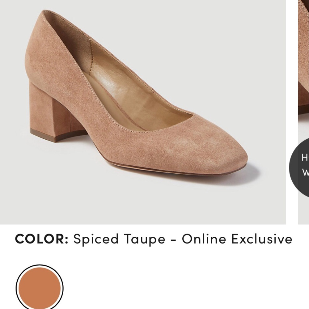 Ann Taylor suet pumps